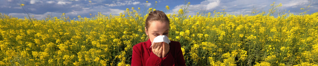 Sie sehen ein Bild mit einer Frau die an einer Pollenallergie leidet. Im Hintergrund sehen sie ein blühendes Rapsfeld. Eine Allergie ist eine von körperfremden, aber an sich harmlosen Substanzen ausgelöste Antikörperbildung mit nachfolgendem Entzündungs-, also Konfliktprozess. Bei Allergien wird etwas zum Feind (Allergen) erklärt, das an sich keiner ist: Hausstaubmilben, Blütenpollen, Katzenhaare und ähnliches.
