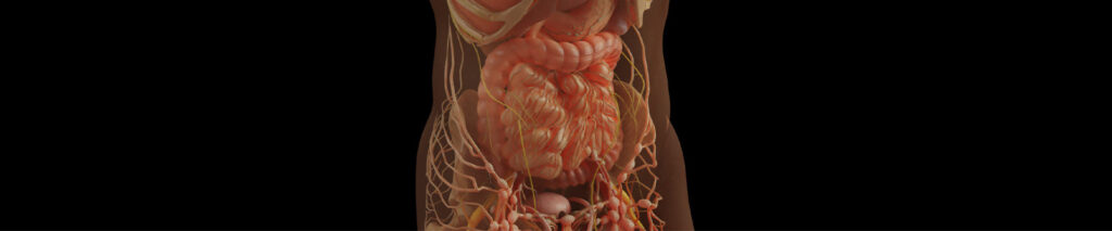 Sie sehen in einer Illustration den Magen- und Darmbereich mit einer chronisch-entzündliche Darmerkrankung (Morbus Crohn). Morbus Crohn ist eine chronisch-entzündliche Darmerkrankung (CED), die weit über physische Symptome hinausgeht. Der Verdauungstrakt ist nicht nur für die Aufnahme von Nahrung verantwortlich, sondern auch für die Verarbeitung dessen, was dem Körper zugeführt wird – im buchstäblichen und im übertragenen Sinne. Das Schlucken ist normalerweise ein automatisierter Vorgang, dem wir kaum Beachtung schenken. Doch sobald jemand etwas zu sich nehmen muss, das ihm „nicht schmeckt“, geschieht dieser Vorgang bewusster – oft mit Widerwillen.