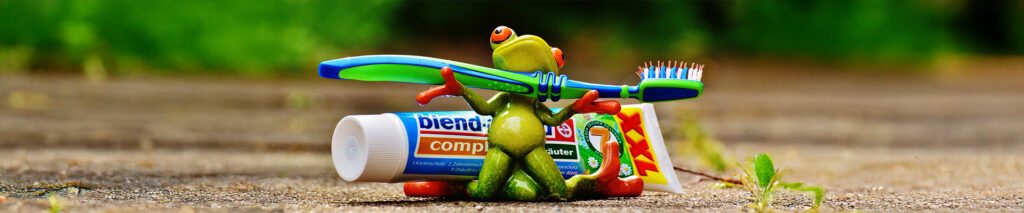 Auf dem Bild sehen Sie einen Frosch mit einer Zahnpasta und Zahnbürste. Kariesprophylaxe bei Kindern beginnt mit der richtigen Zahnpflege von klein auf. „Vor dem Schlafen, nach dem Essen – Zähneputzen nicht vergessen!“ – Eine einfache Regel, die sich gut merken lässt. Doch während Eltern sich wünschen, dass ihre Kinder diese Weisheit verinnerlichen, sieht die Realität oft anders aus. Kariesprävention bei Kindern erfordert Geduld, denn Kinder sind verspielt und tun sich mit konsequenter Routine oft schwer. Deshalb liegt es an den Eltern, das tägliche, gründliche und richtige Zähneputzen über viele Jahre hinweg immer wieder zu erklären, vorzuleben und zu kontrollieren.